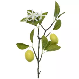растение искусственное ветка Лимон домашний 47см