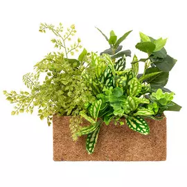 растение искусственноев кокосовом боксе Зелень 50х30х35см