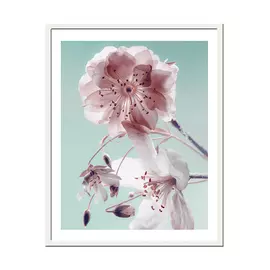 репродукция в раме САКУРА 400х500мм бумага/полистирол