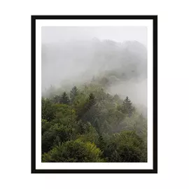 репродукция в раме ТУМАННЫЙ ЛЕС 400х500мм бумага/полистирол