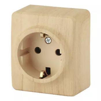 розетка 1 пост ЭРА Эксперт с заземлением сосна