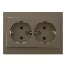 розетка 2 поста LIREGUS Epsilon c заземлением, шампань