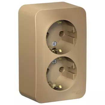 розетка 2 поста SYSTEME ELECTRIC Blanca с/з б/ш 16А 250В титан