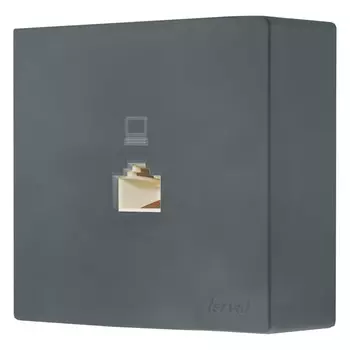 розетка компьютерная 1 пост LEZARD Leto графит