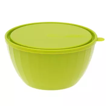 салатник GIARETTI Fiesta 19,5х18,2х9,6см 1,7л пластик с крышкой оливковый