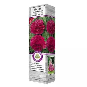 саженцы Пион древовидный Король Цветов