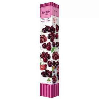 саженец Черешня Ипуть ПОИСК d7см в коробке