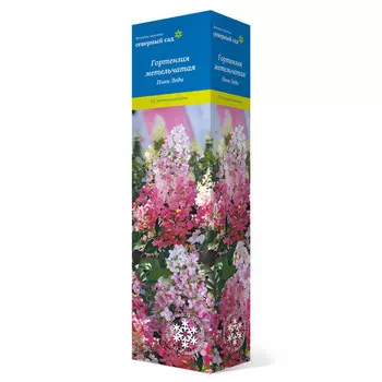 саженец Гортензия метельчатая (Серия Северный Сад) Пинк Леди