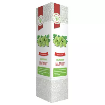 саженец Крыжовник Малахит 1шт