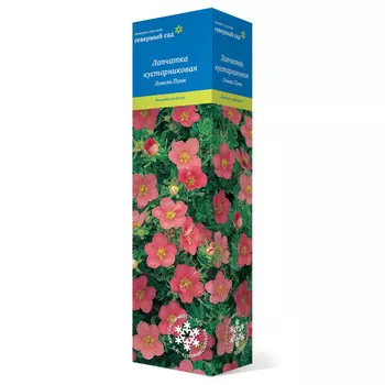 саженец Лапчатка кустарниковая (Серия Северный сад) Ловели Пинк