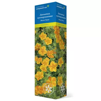 саженец Лапчатка кустарниковая (Серия Северный сад) Манго Танго