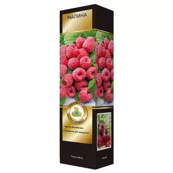 саженец Малина ремонтантные сорта Геракл