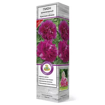 саженец Пион древовидный Красные облака