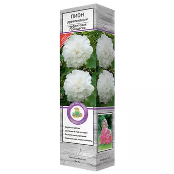 саженец Пион древовидный Нефритовая Принцесса
