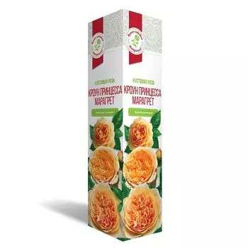 саженец Роза Кроун Принцесса Марагрет 1шт