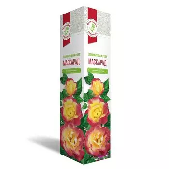 саженец Роза полиантовая Маскарад 1шт