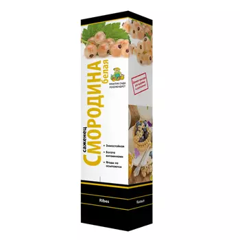 саженец Смородина белая перспективные сорта Баяна