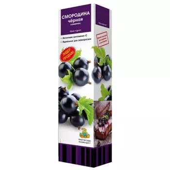 саженец Смородина черная Изюмная