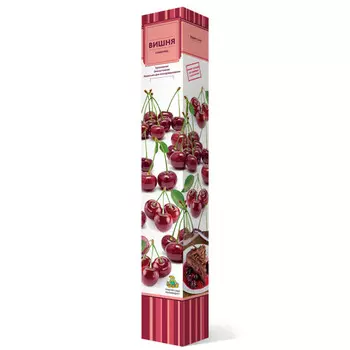 саженец Вишня Десертная Морозовой ПОИСК d7см в коробке