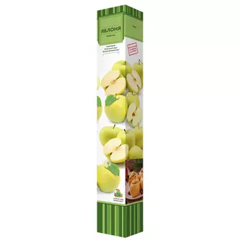 саженец Яблоня карликовая Подснежник ПОИСК d7см в коробке