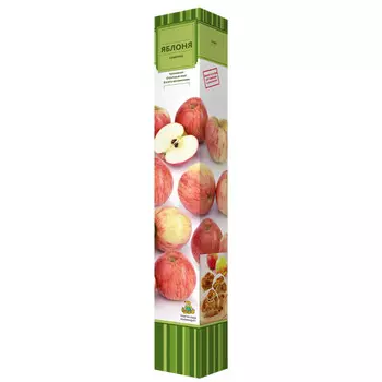 саженец Яблоня Пепин шафранный ПОИСК d7см в коробке