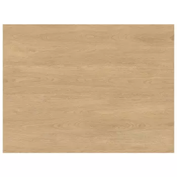 щит мебельный 3000х600х4,5мм Дуб Карпентер 7120/7