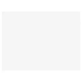 щит мебельный 3000х600х5мм белый 1110