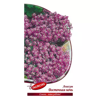 семена Алиссум Восточная ночь АГРОНИ 0,1г