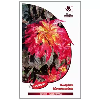 семена Амарант Иллюмишейшн АГРОНИ 0,1г