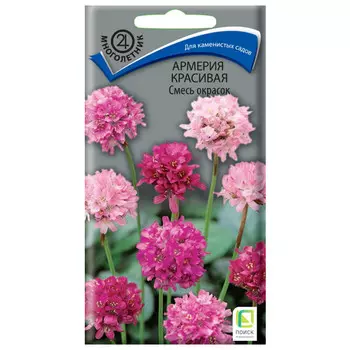 семена Армерия красивая смесь окрасок ПОИСК 0,05г