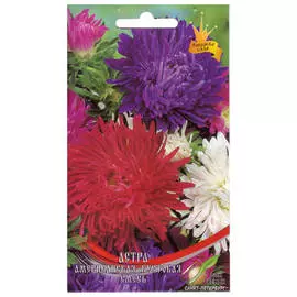 семена Астра Американская кустовая 90шт