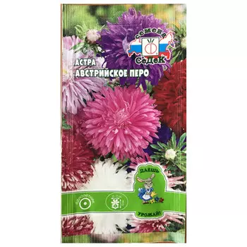 семена Астра Австрийское перо смесь цветов СЕДЕК 0,2г