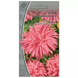 семена Астра Хавский букет обильноцветущая 0,2г