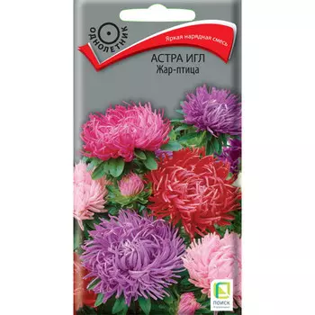 семена Астра игл Жар-птица ПОИСК 0,3г
