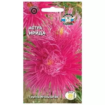 семена Астра Ирида игольчатая насыщенно-розовая СЕДЕК