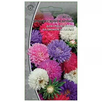 семена Астра Эрфуртский карлик 0,2г