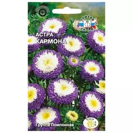 семена Астра Кармона помпонная тёмно-синяя