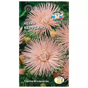 семена Астра Керубино игольчатая лососево-розовая