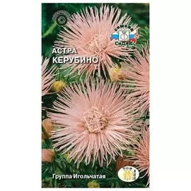 семена Астра Керубино игольчатая лососево-розовая