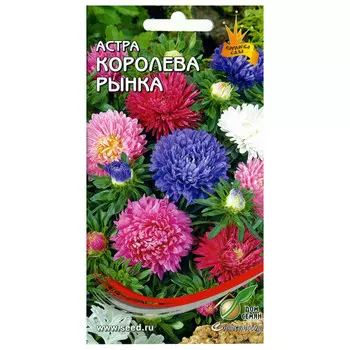 семена Астра Королева Рынка смесь ДОМ СЕМЯН 0,25г
