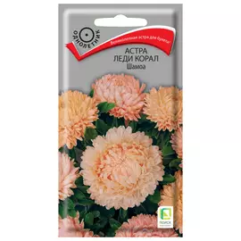 семена Астра Леди Корал Шамоа 0,1г