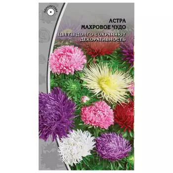 семена Астра Махровое чудо 0,2г