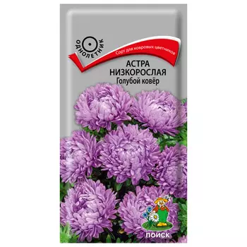 семена Астра низкорослая Голубой ковер ПОИСК 0,2г