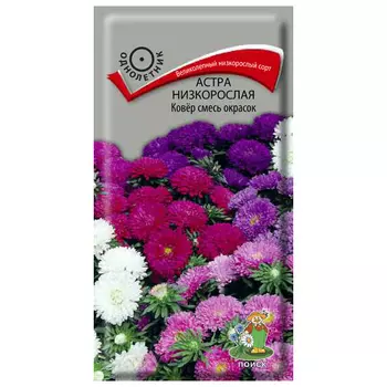семена Астра низкорослая Ковер смесь окрасок ПОИСК 0,2г