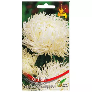 семена Астра Ориент хризантемовидная 85шт