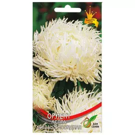 семена Астра Ориент хризантемовидная 85шт