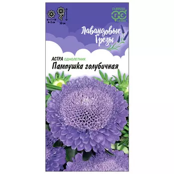 семена Астра помпонная Пампушка голубичная синяя ГАВРИШ 0,3г