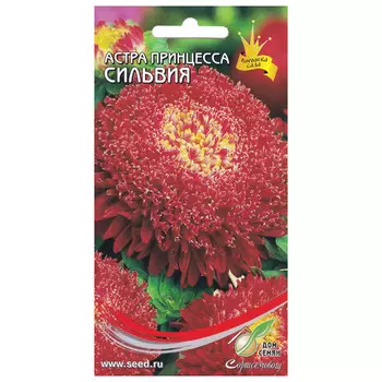 семена Астра Принцесса Сильвия ДОМ СЕМЯН 0,25г