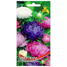 семена Астра Увертюра смесь 90шт пионовидная
