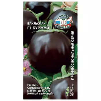 семена баклажан Буржуй СЕДЕК F1 Евро 0,2г